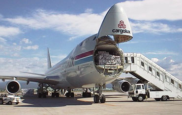 Air Freight Forwarding Services – LA 24-7 Forwarder Los Angeles